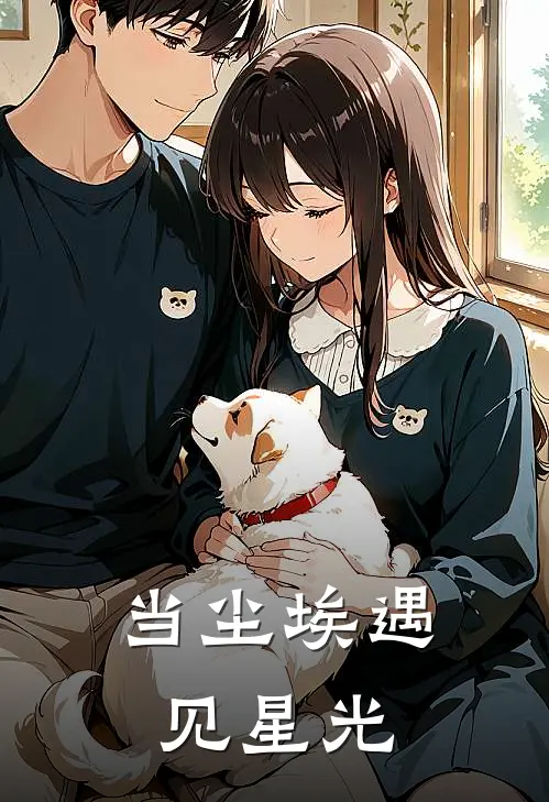 当尘埃遇见星光