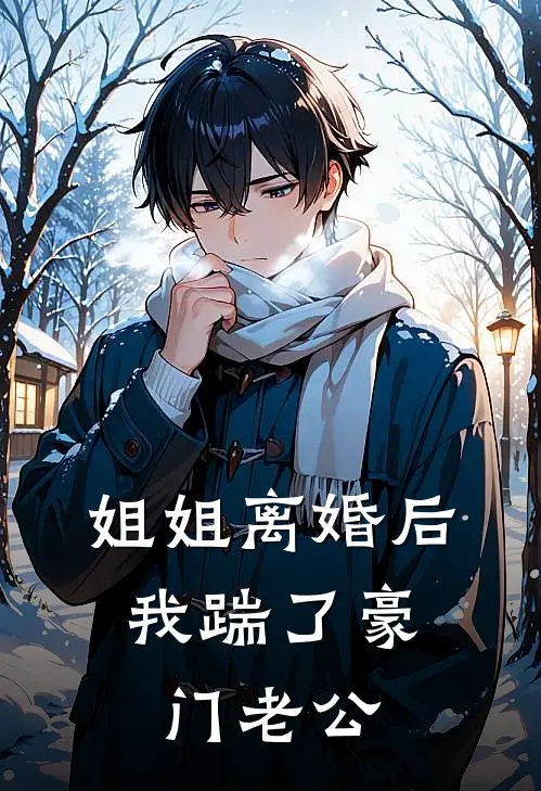 姐姐离婚后，我踹了豪门老公