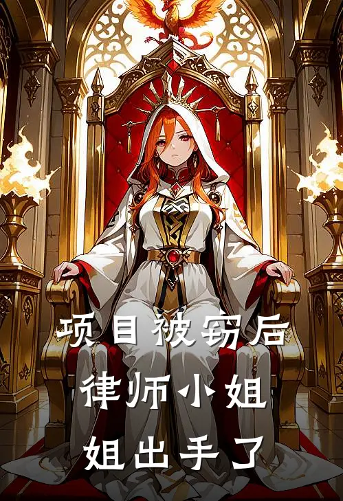 项目被窃后，律师小姐姐出手了