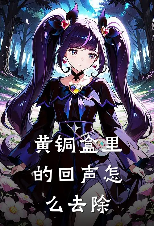 黄铜盒里的回声怎么去除